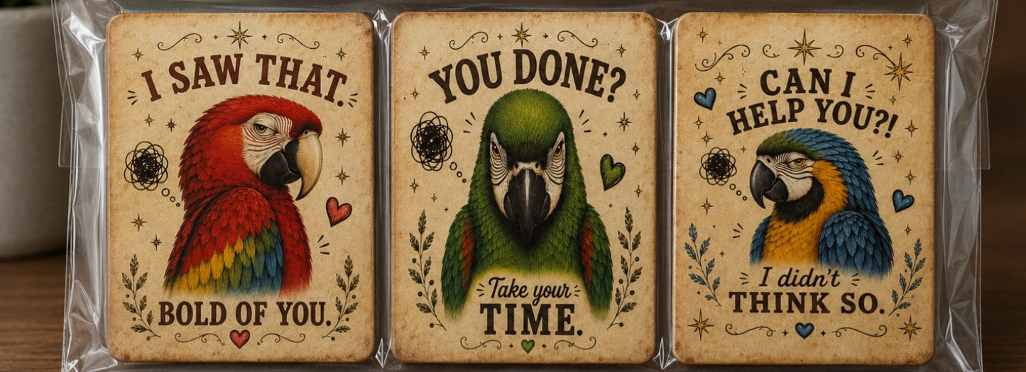 Three rectangular decorative tin signs featuring parrot illustrations and humorous quotes, packaged together in clear plastic wrapping.
