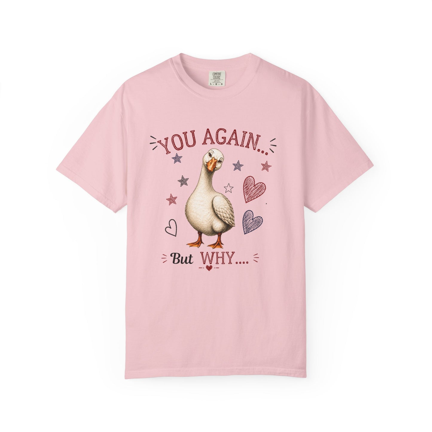 You Again But Why Goose T-Shirt – Funny Cute Bird Graphic Tee
