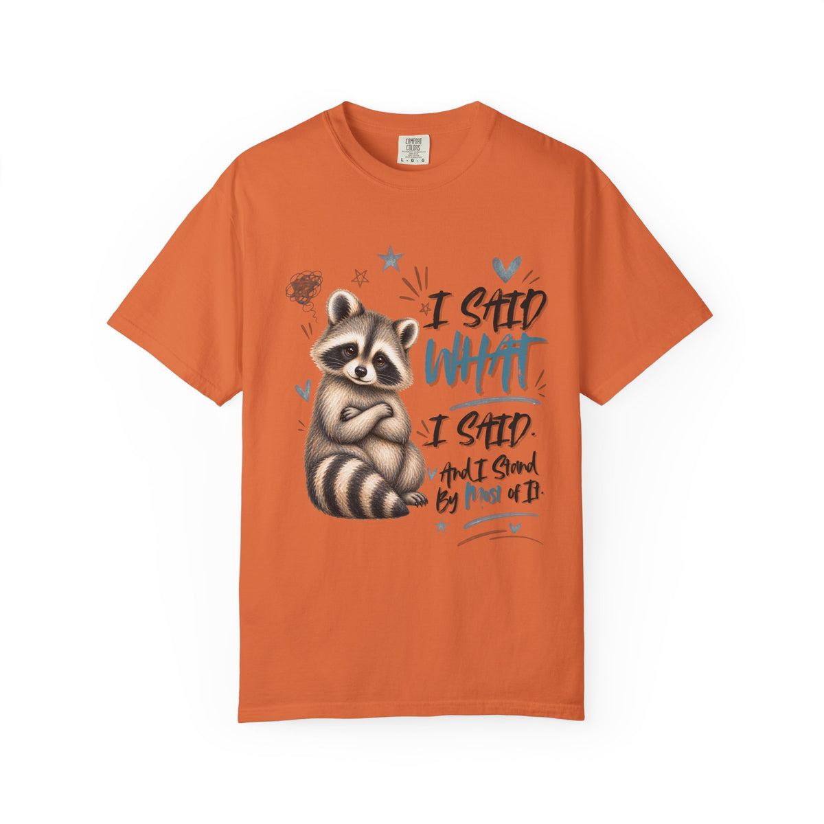 Raccoon  T-Shirt – I Said What I Said Funny Comfort Colors Shirt