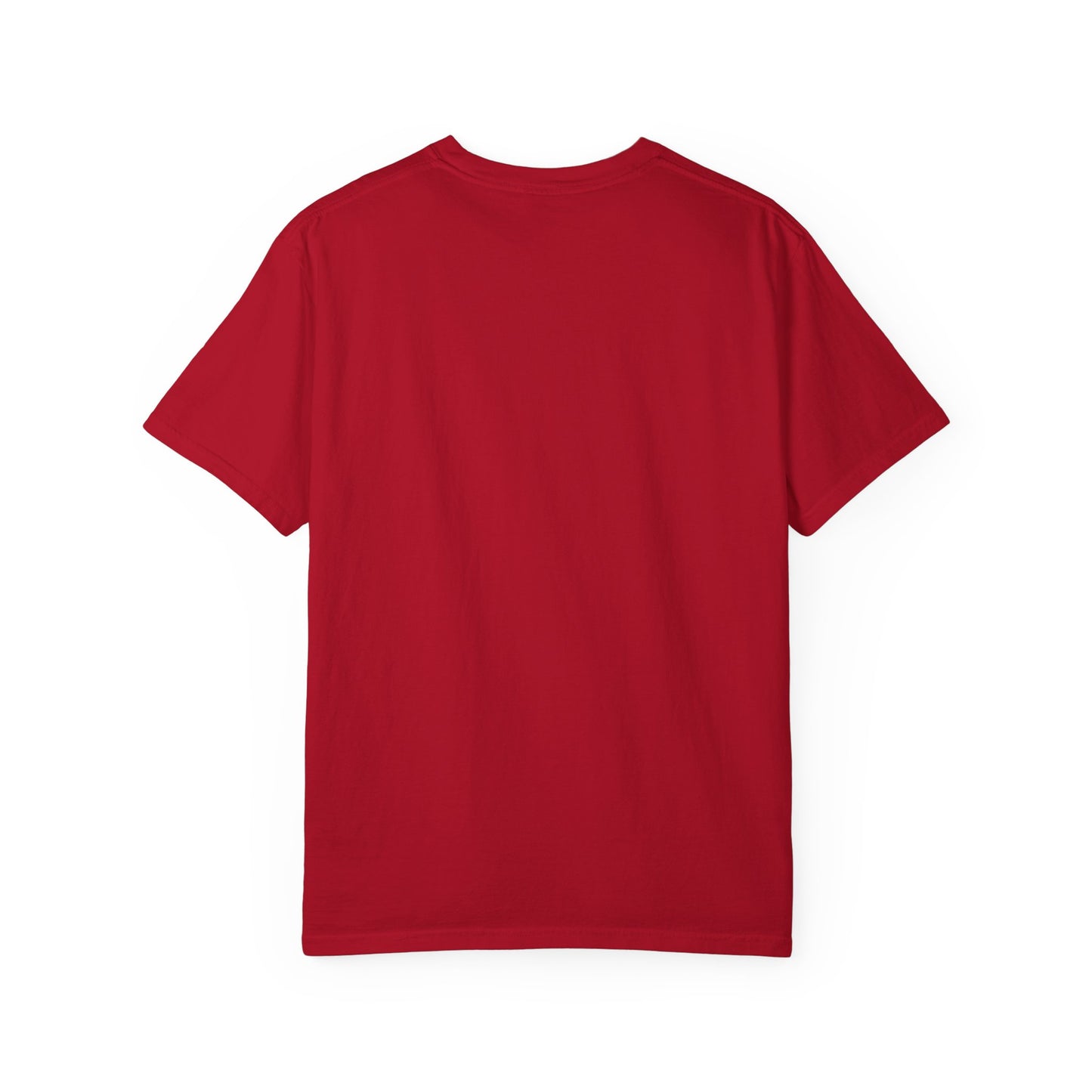 Here We Go Again Skunk Shirt | Funny AttiTudies Graphic T-Shirt | Cute Animal Tee
