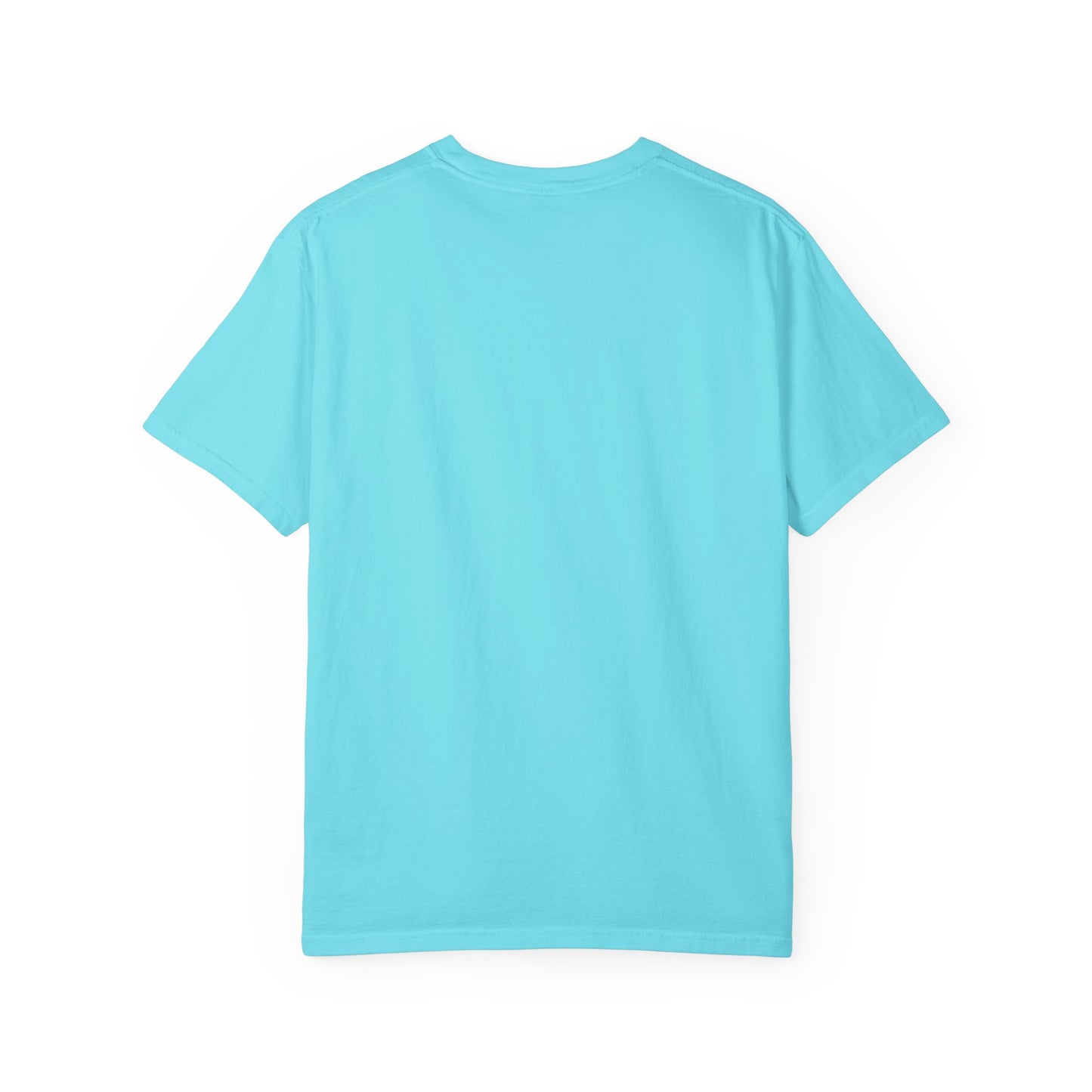 You Again But Why Goose T-Shirt – Funny Cute Bird Graphic Tee