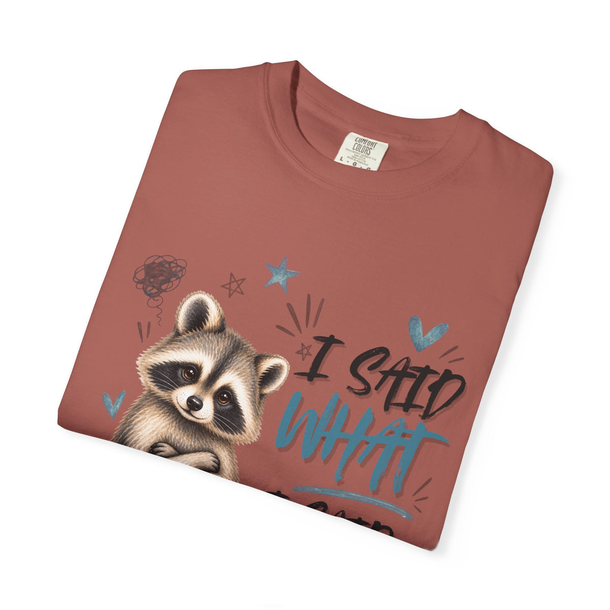 Raccoon  T-Shirt – I Said What I Said Funny Comfort Colors Shirt