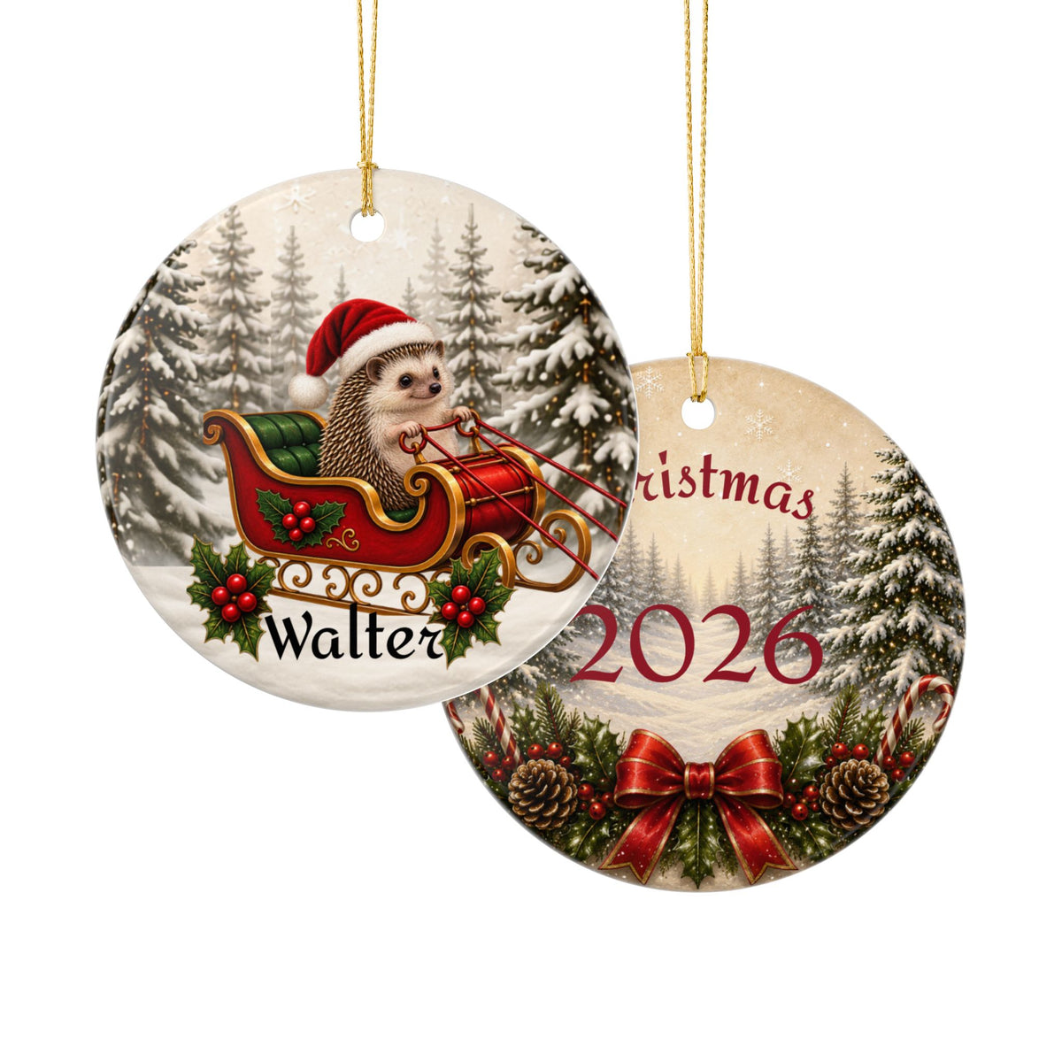 Personalized Hedgehog Christmas Ornament | Santa Sleigh Ceramic | Custom Hedgehog Owner Gift 2026