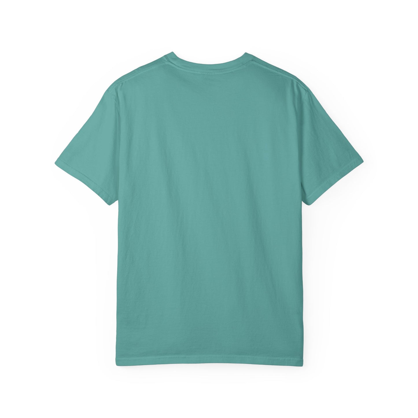 You Again But Why Goose T-Shirt – Funny Cute Bird Graphic Tee