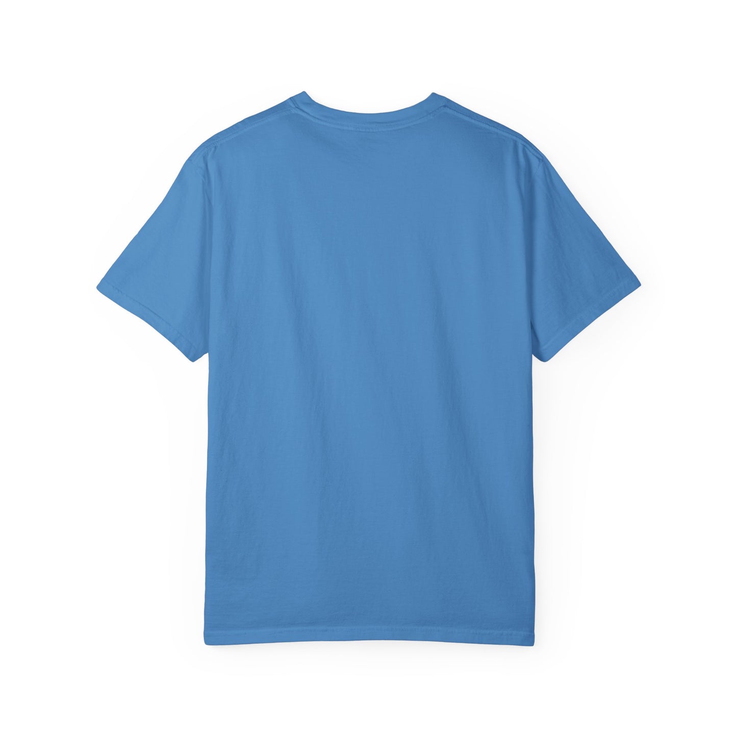 You Again But Why Goose T-Shirt – Funny Cute Bird Graphic Tee