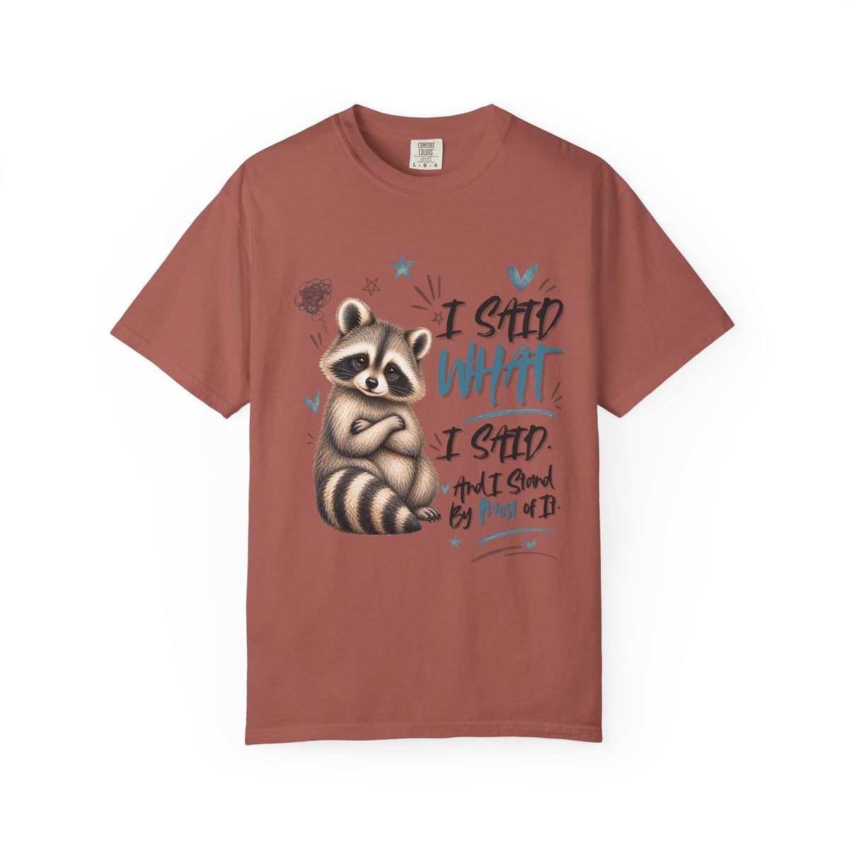 Raccoon  T-Shirt – I Said What I Said Funny Comfort Colors Shirt
