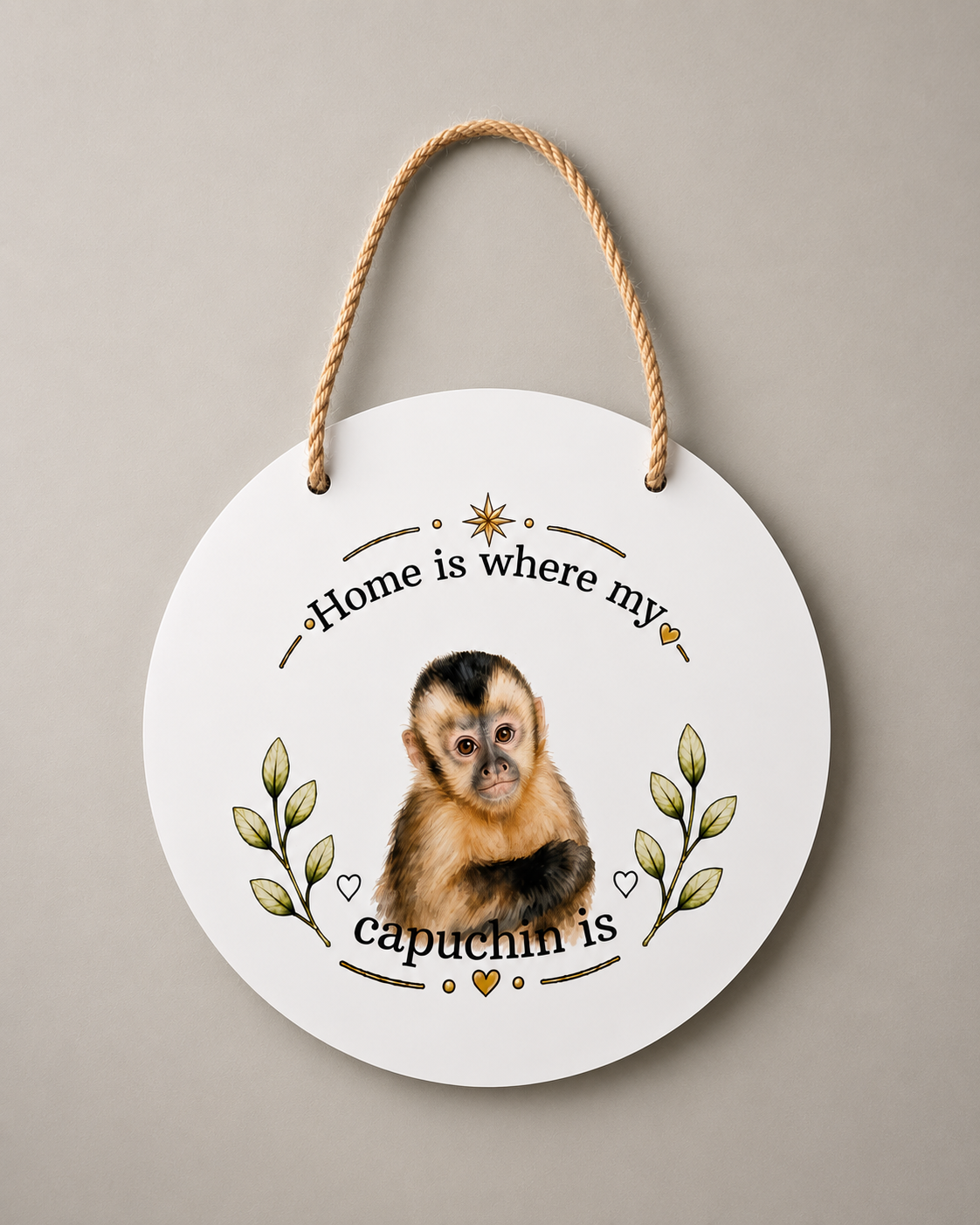 Capuchin no hat