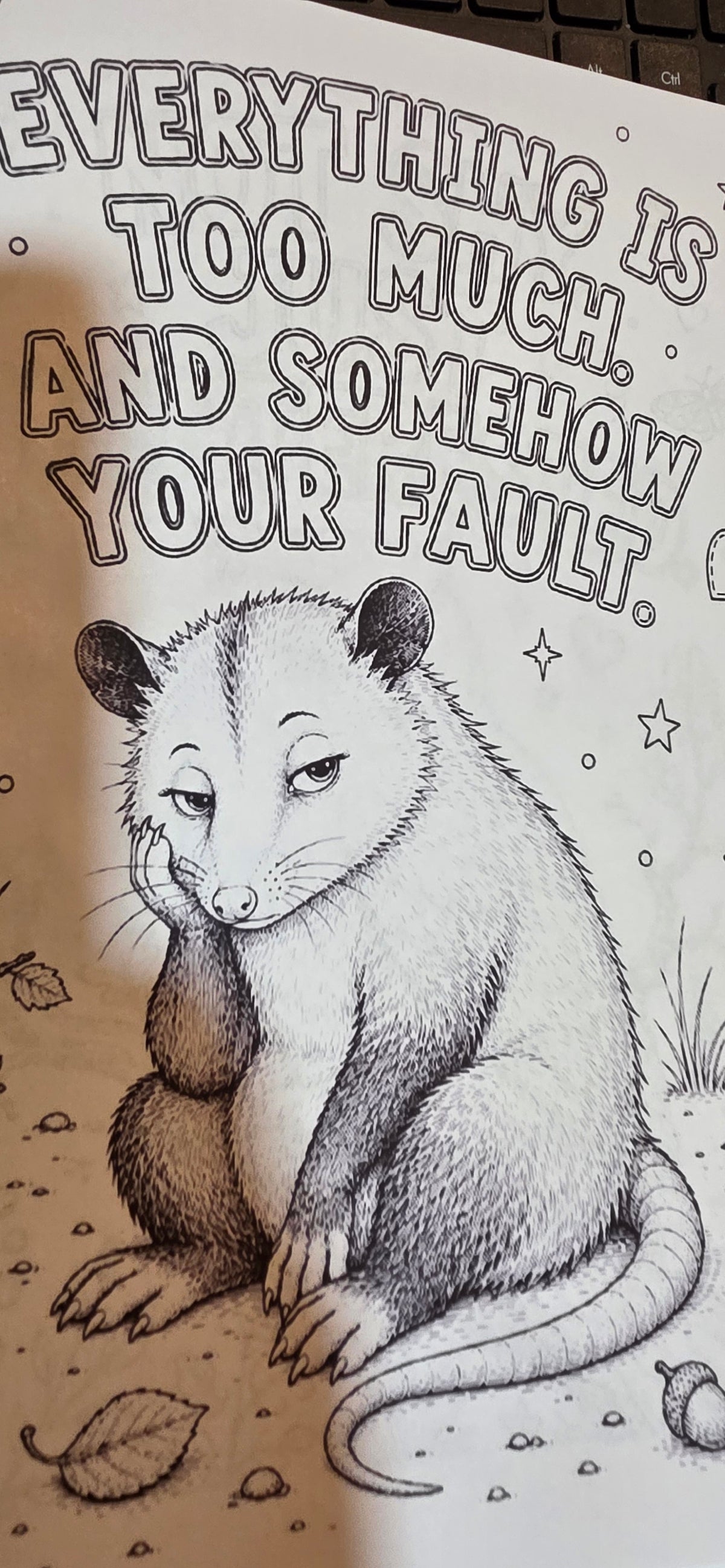 In a Mood Woodland Creatures – 10 Sarcastic Adult Coloring Pages