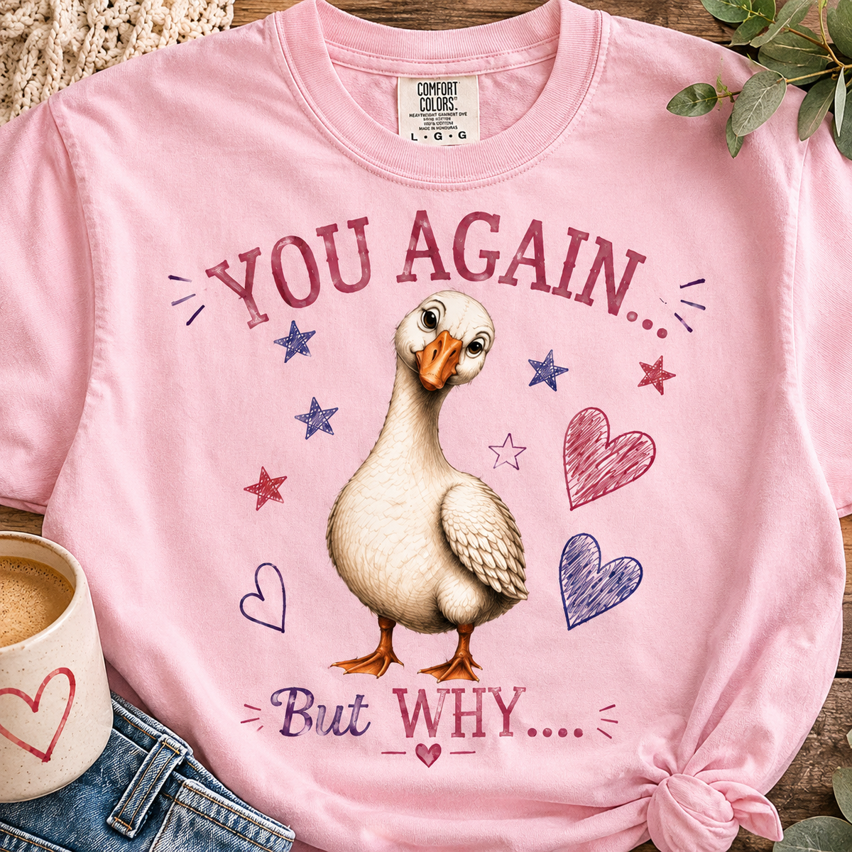 You Again But Why Goose T-Shirt – Funny Cute Bird Graphic Tee