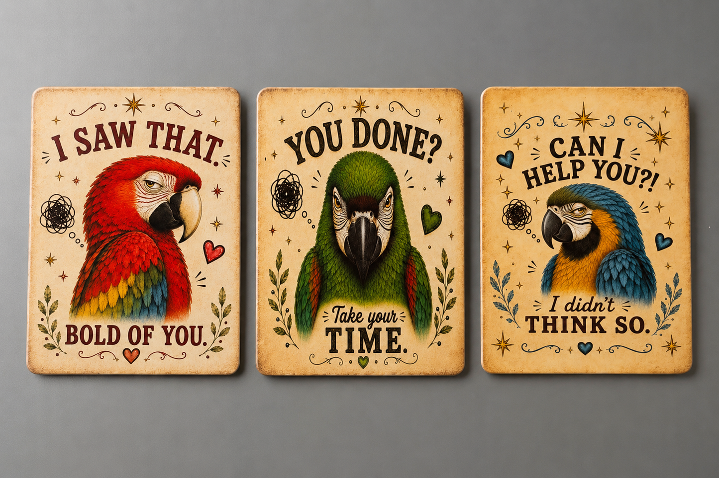 Three rectangular decorative wall art panels with parrot illustrations and humorous quotes, arranged side by side on a gray background.