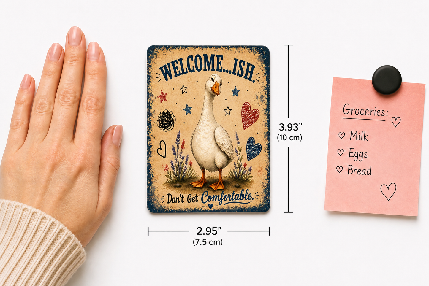Funny Goose Magnets Set of 3 | Please Go Away