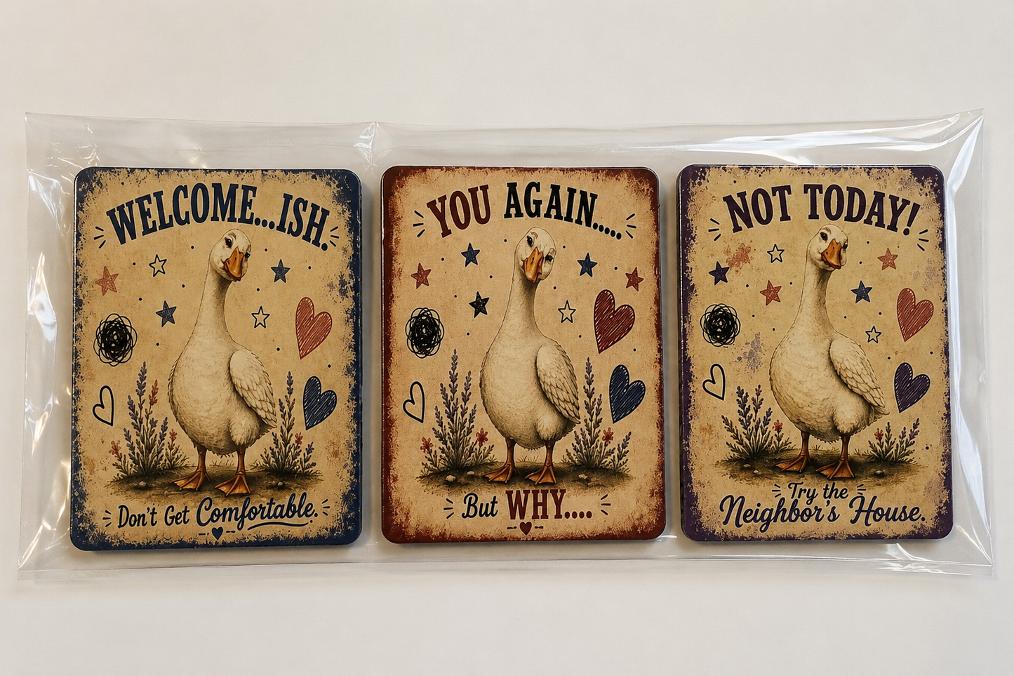 Funny Goose Magnets Set of 3 | Please Go Away